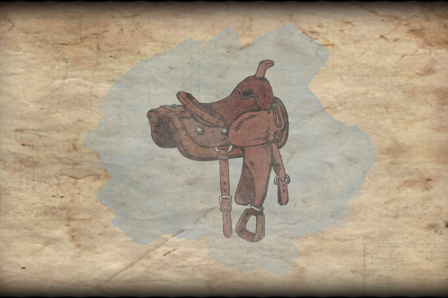 HCA Saddle Anatomy